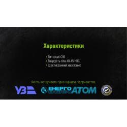 Свердло по дереву пір'яне 10x150мм Alloid 3